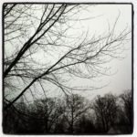 IMG_3674 IMG_3674