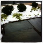 IMG_3675 IMG_3675