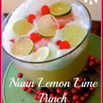 Nuun Punch 2