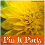 550x550xpin-it-party.jpg.pagespeed.ic.ocKM4UlBQF