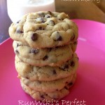 ChocolateChip.jpg