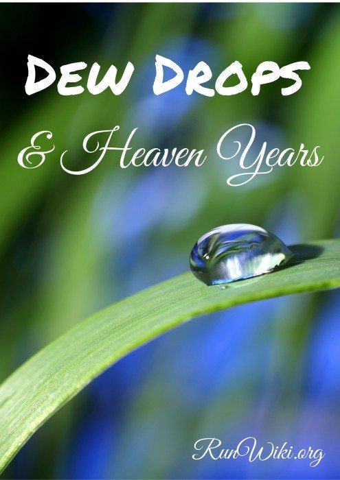 Dew Drops and Heaven Years-- notes about my love of nature and how it guides me through my life.